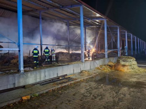 FB IMG 1765863746434