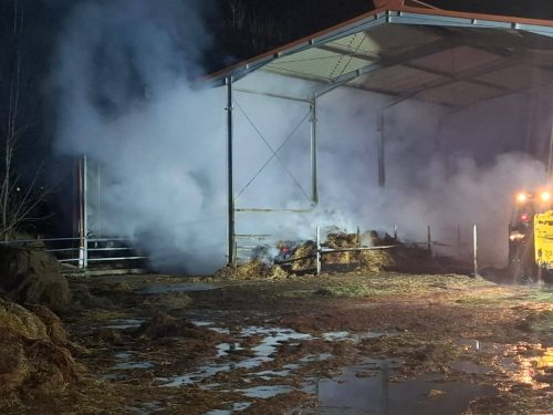 FB IMG 1765863753662