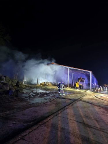 FB IMG 1765863780016