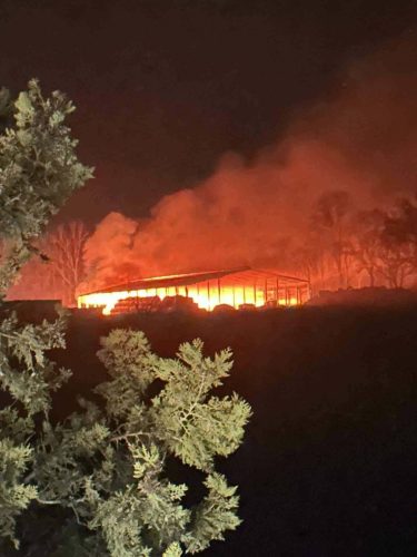 FB IMG 1765863798794