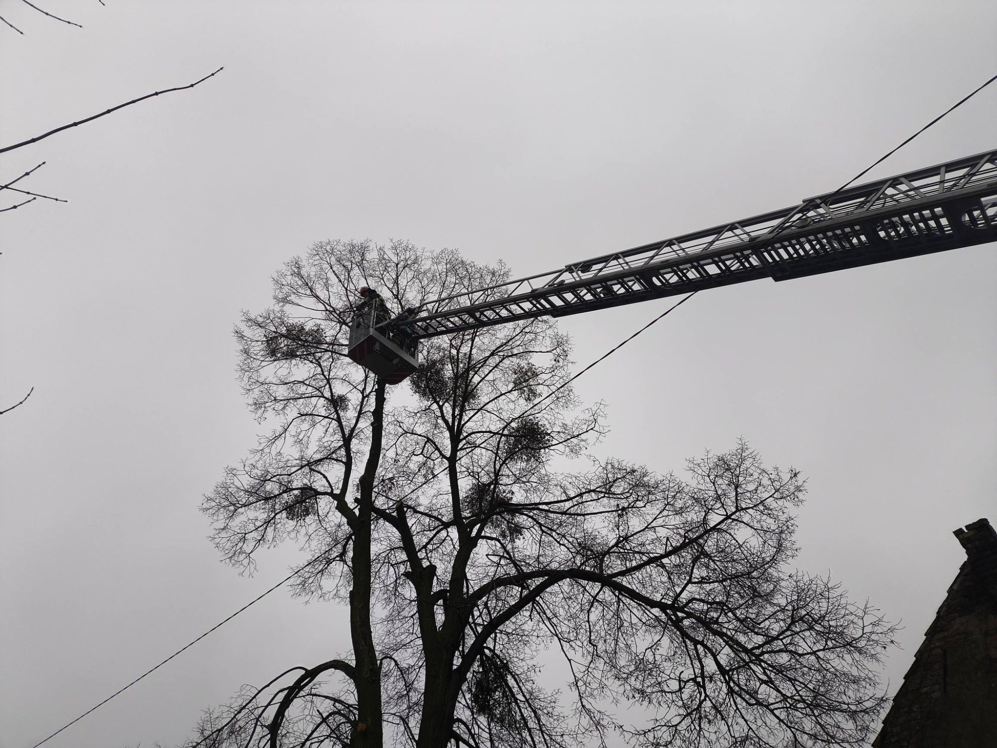 614590801 1325868009574562 570090420887340679 n