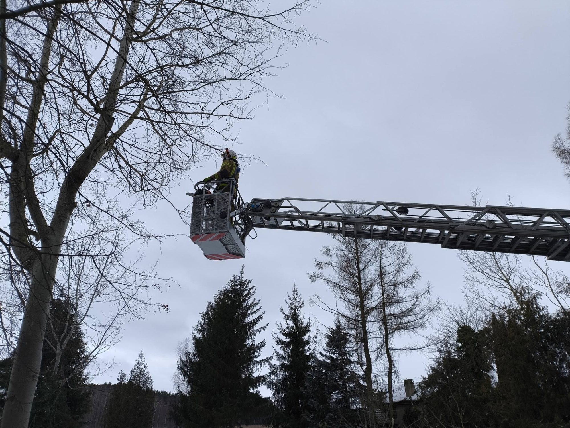 614699244 1325868762907820 5941298862478556255 n