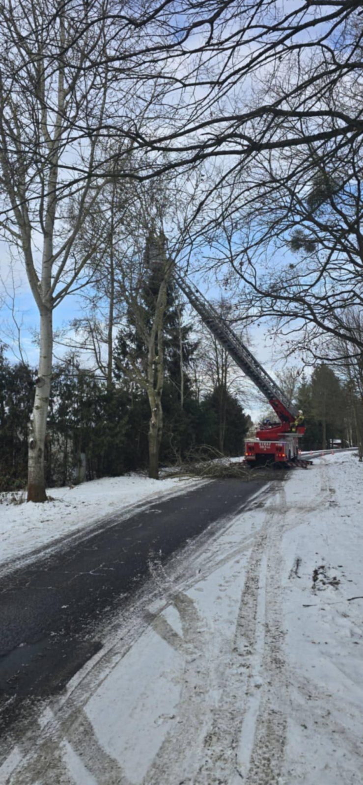 615074054 1325869186241111 8093131986952444246 n