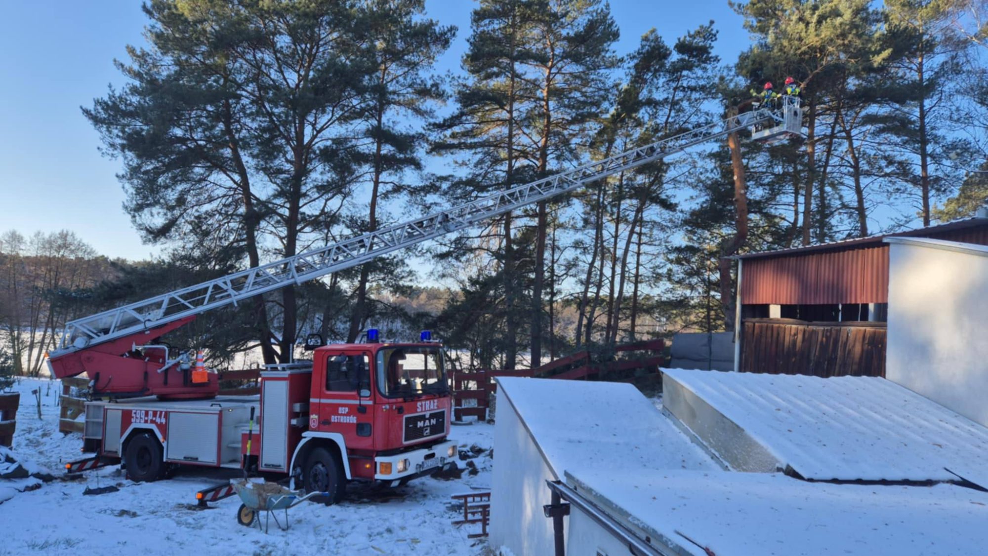 615146060 1325868242907872 2573605587640496670 n