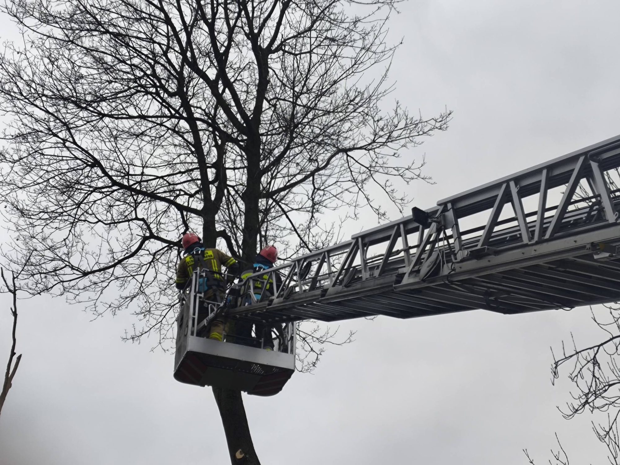 615147586 1325867946241235 4607191921246941126 n