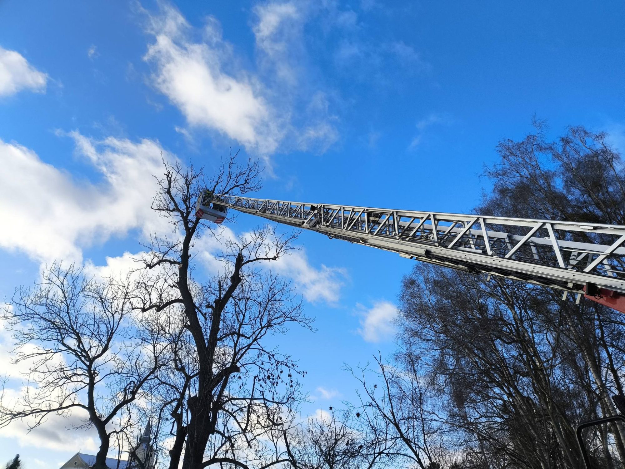 615184664 1325868529574510 6614714122965049168 n