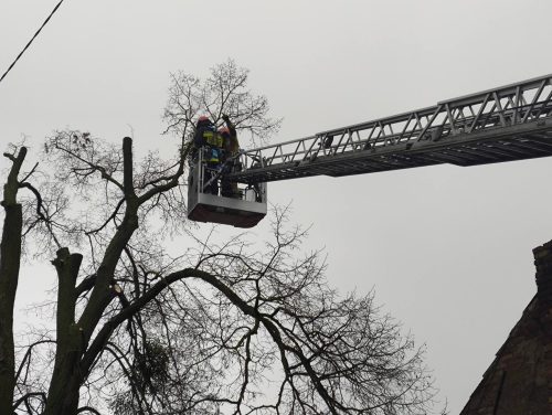 614193158 1325868146241215 8393830752274631976 n