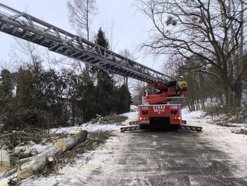 614541885 1325868699574493 8764673838485248404 n