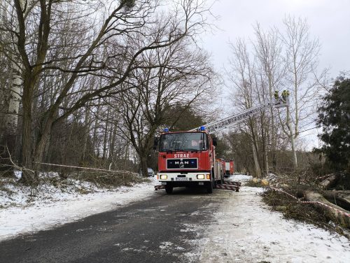 614852230 1325869276241102 7081327388317472329 n