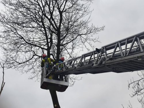 615147586 1325867946241235 4607191921246941126 n