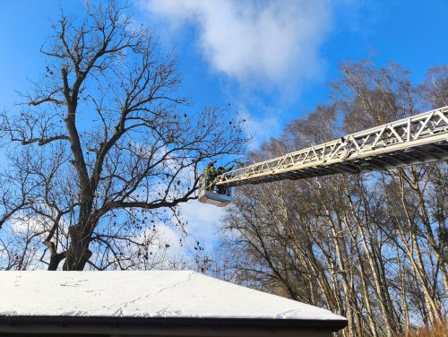 615203745 1325868442907852 1792012883268759358 n