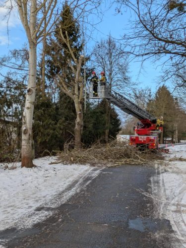 615346072 1325868996241130 7949818104325728778 n