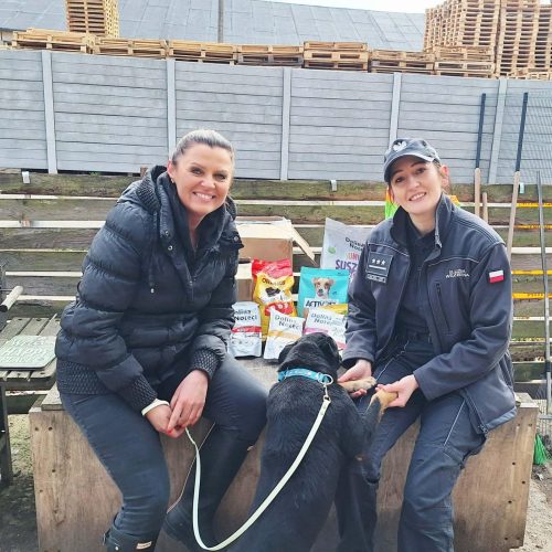 0 0 2048 2048 resize 5b841634d6ed9f7c215055aa228b700602f34196