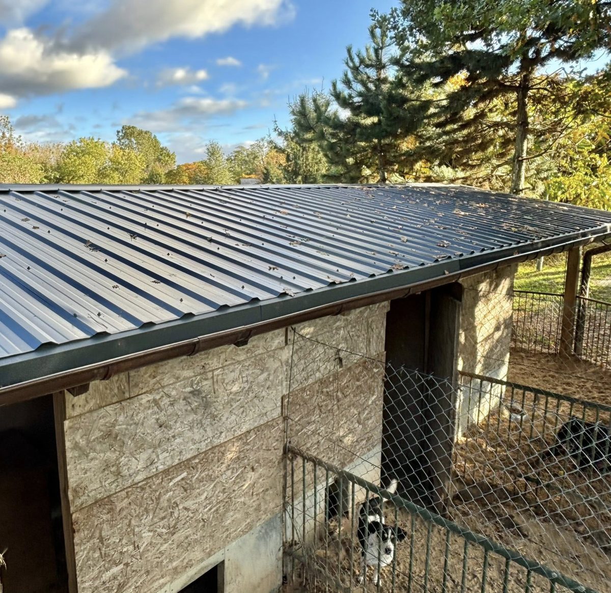 572888123 1265980068903839 3297231616398270370 n