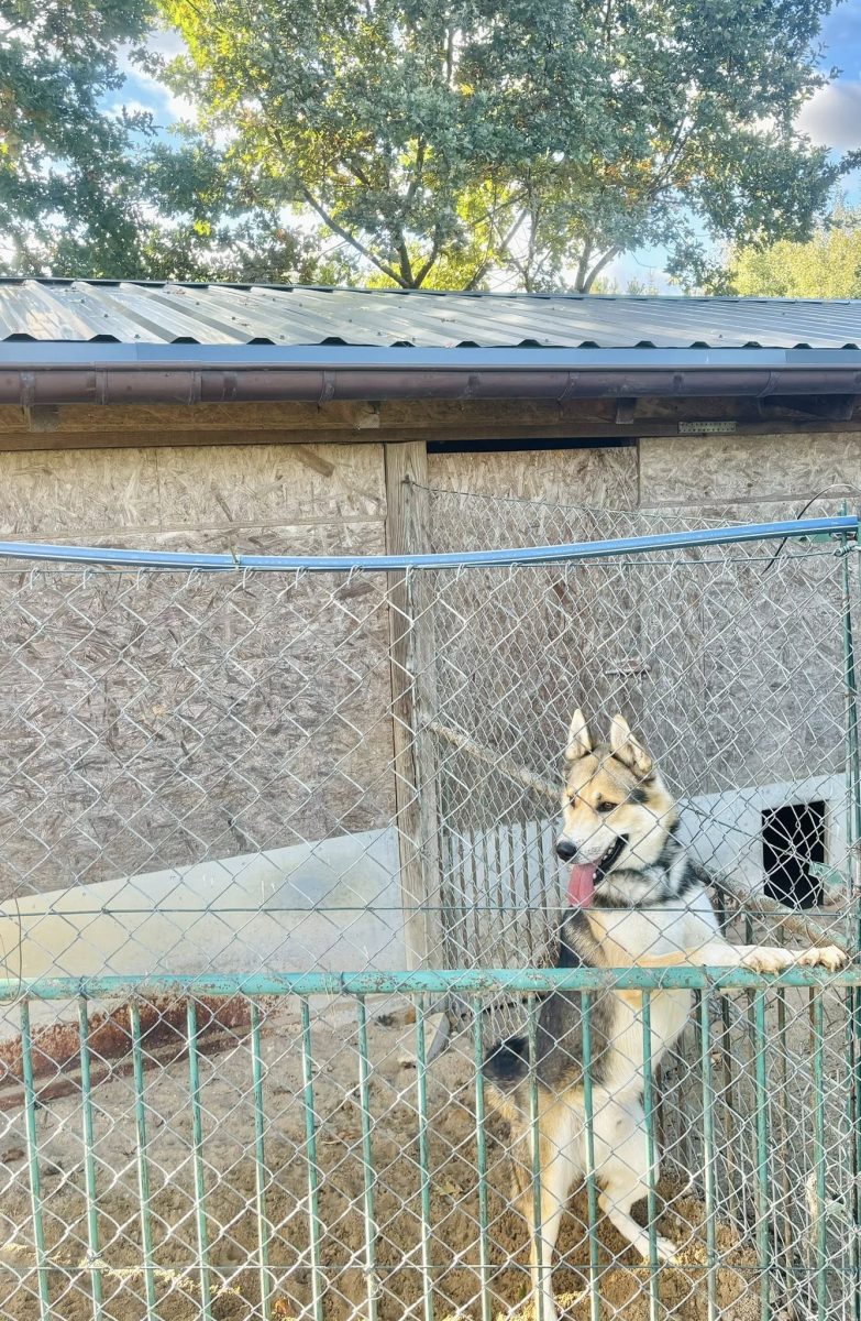 572979347 1265980048903841 1190735419158326612 n