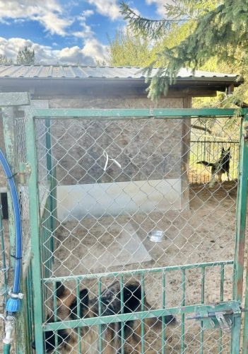 571343715 1265979935570519 3732494519652778995 n