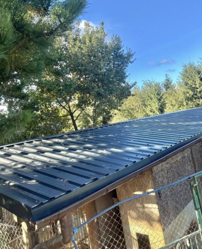 572392550 1265980105570502 6165240793212582420 n