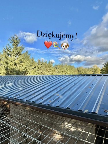 573872821 1265979925570520 2410559965147826627 n