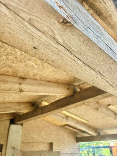 574007388 1265980132237166 9098957944426014574 n