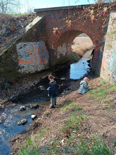 sprzatanie-samy-2026-0011