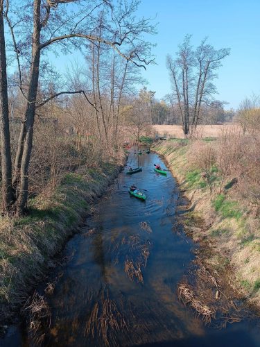 sprzatanie-samy-2026-0016