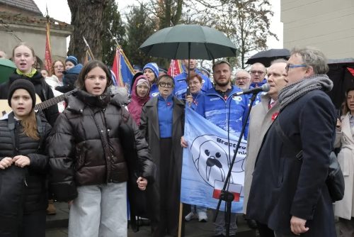 Sw-Niepodleglosci-Pniewy-2025-0017