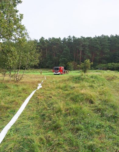 546389750 1217408113749258 6134163792772359140 n