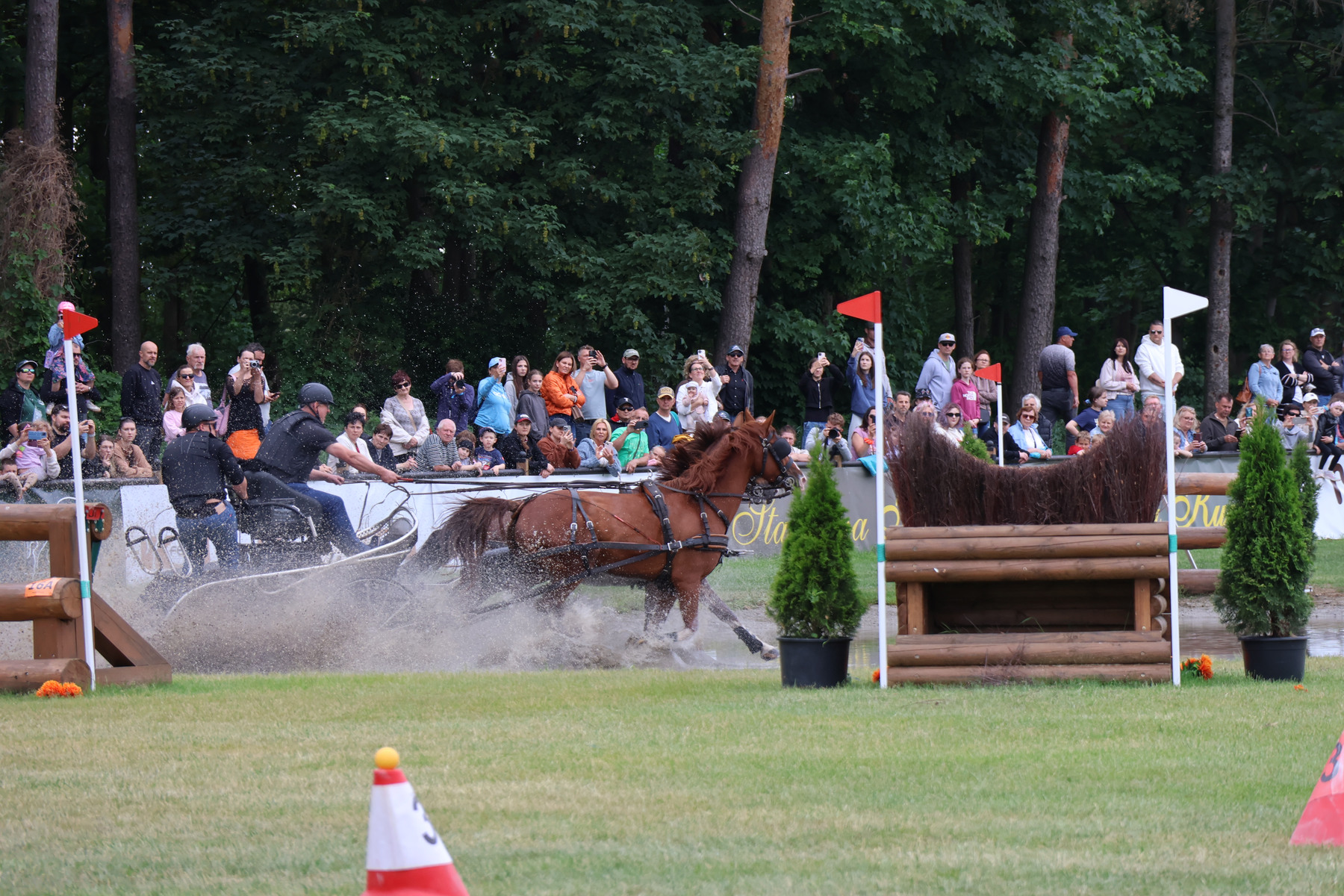 Baborowko-zaprzeg-samochod-2026-0049