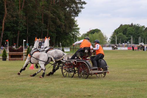 Baborowko-zaprzeg-samochod-2026-0004