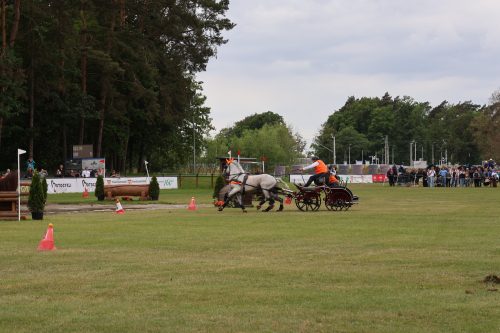 Baborowko-zaprzeg-samochod-2026-0006