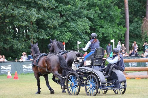 Baborowko-zaprzeg-samochod-2026-0033