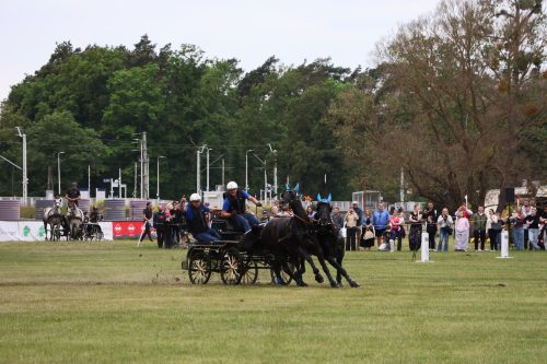 Baborowko-zaprzeg-samochod-2026-0039