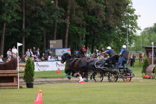 Baborowko-zaprzeg-samochod-2026-0040