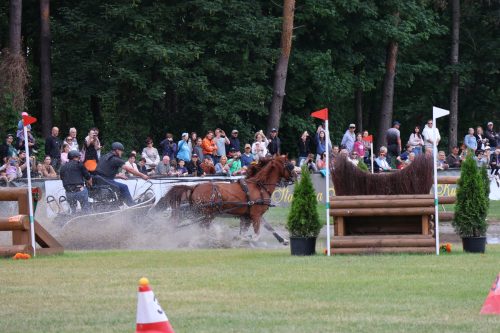 Baborowko-zaprzeg-samochod-2026-0049
