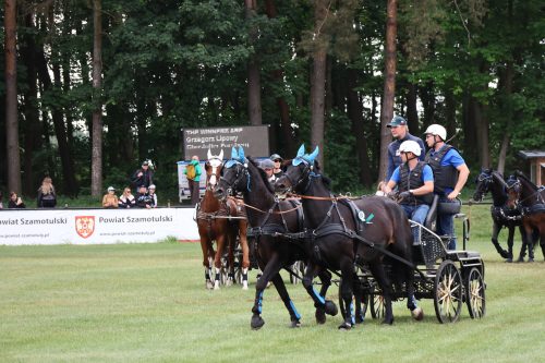 Baborowko-zaprzeg-samochod-2026-0057