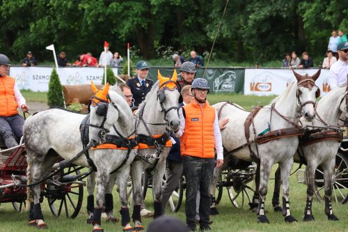 Baborowko-zaprzeg-samochod-2026-0063