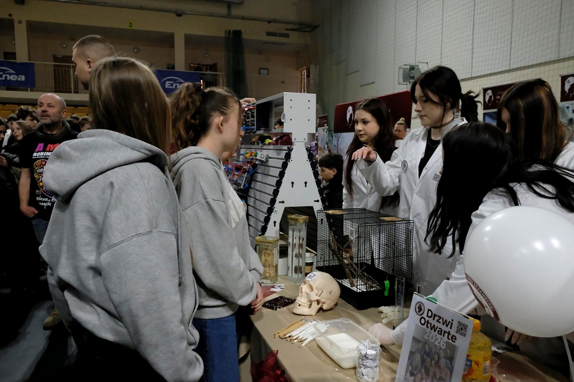 Targi-edukacji-Pniewy-2026-0019