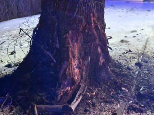 38828a69-0e45-456a-a4ab-b53b999e21af