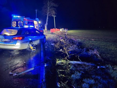 331406d4-370e-4edc-80bc-64ae85ad92d1