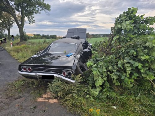 102d957b-9b6a-46d3-b677-53b06d301719