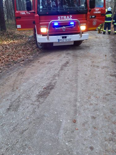 586730733 1183605740566786 8377458167826124726 n