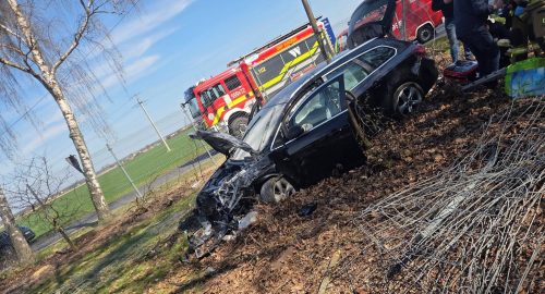 97f5d418-6c67-4f09-87d4-740a9c77b937