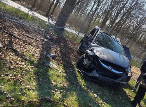 d85903c8-1768-40cb-97b8-1fa3bcedbe4b