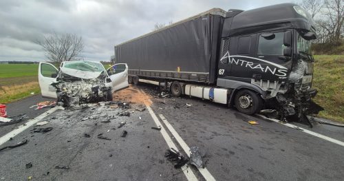 b688bbb8-828e-4ead-b478-f9e7de6e94d9