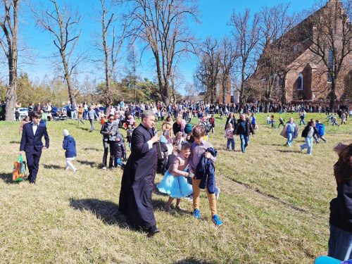 zajaczek-bazylika-2026-0007