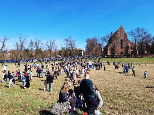 zajaczek-bazylika-2026-0009