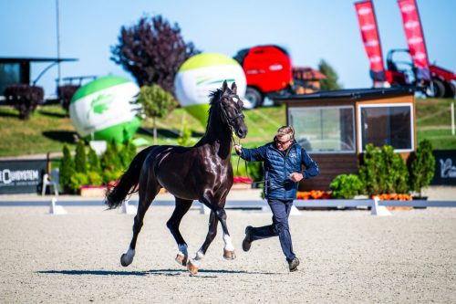 zawody-baborowko-m.flatow-0003