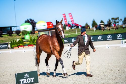 zawody-baborowko-m.flatow-0004