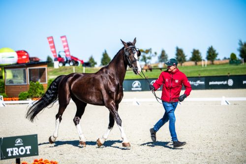 zawody-baborowko-m.flatow-0005