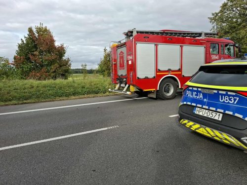 557033308 781153394797352 1647318954690377922 n